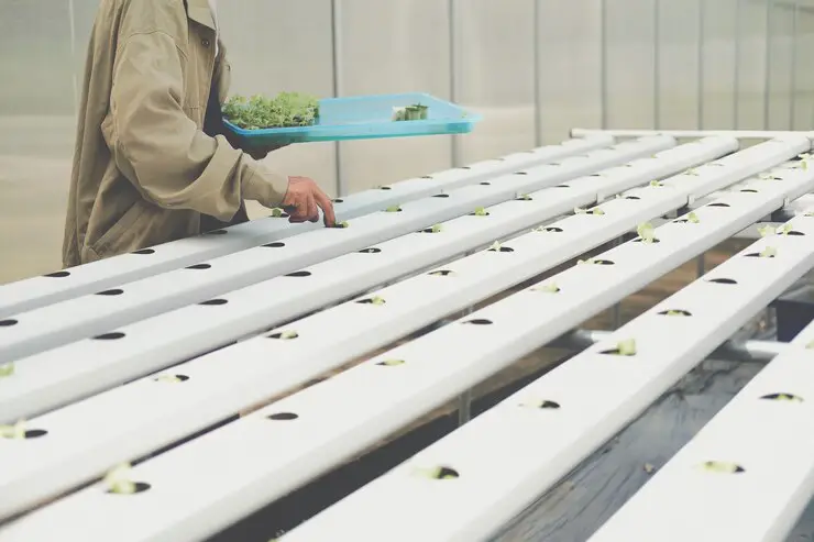 How to Optimize Hole Spacing in NFT Hydroponics for Maximum Yield