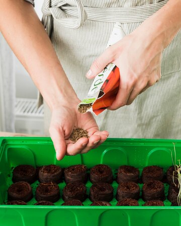 Understanding the Importance of Starting Seeds for Hydroponics.