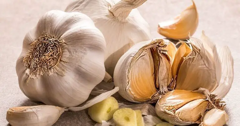 Make Garlic Spray for Pests and Plant Diseases