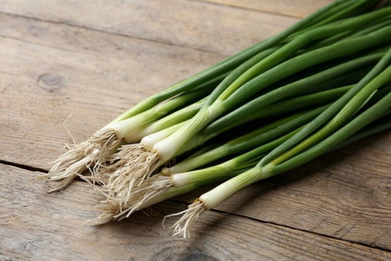 Growing Green Onions or Scallions: A Culinary Essential