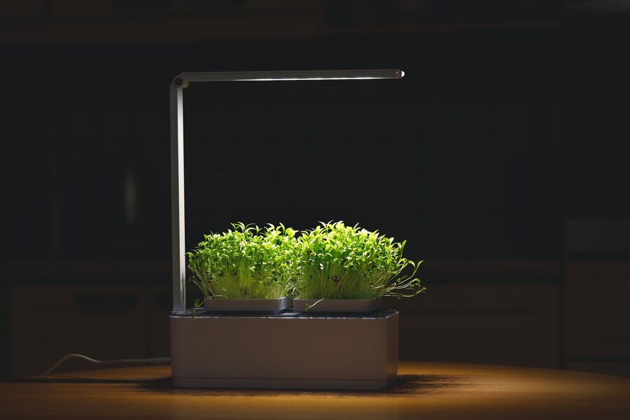 Enhancing Indoor Plant Growth with the Use of LED Grow Light Strips and Supplemental Lighting