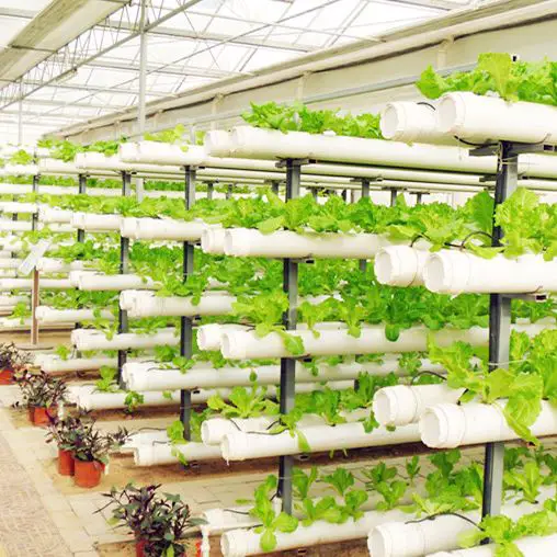 hydroponic systems is the nutrient solution. 