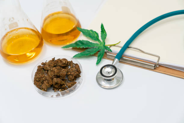 Utilizing Terpenes and Terpenoids for Therapeutic Benefits in Cannabis Products