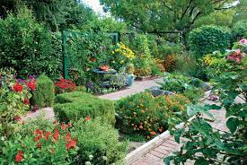 Planning for Succession: Incorporating Both Plant Types in Your Garden.