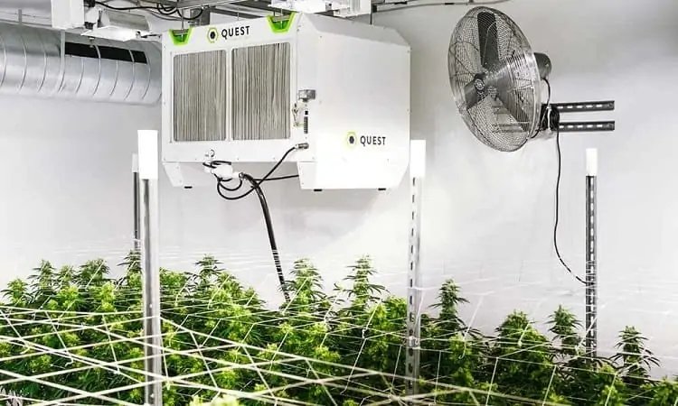 Beginners Guide to Choosing and Sizing ACs: How to Keep Your Grow Room Cool and Comfortable