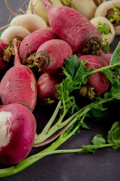 Turnips Unveiled: Planting, Growing, and Caring