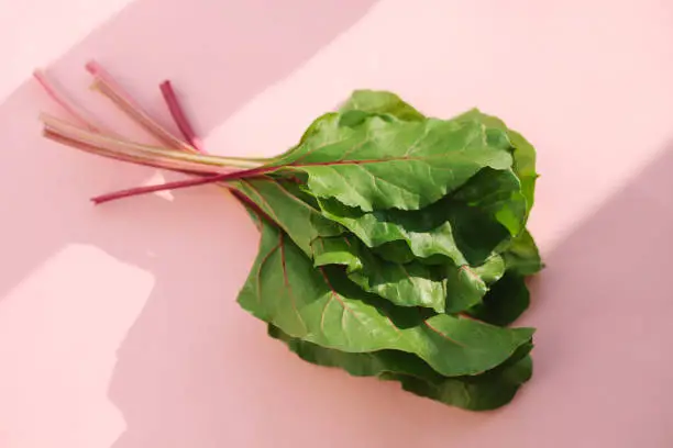 Companion Planting with Swiss Chard for Pest Control