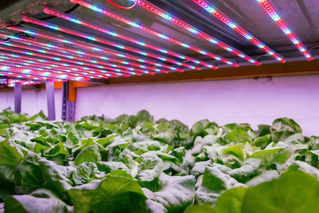 Choosing the Right Standard Air Conditioner for Your Grow Room Size