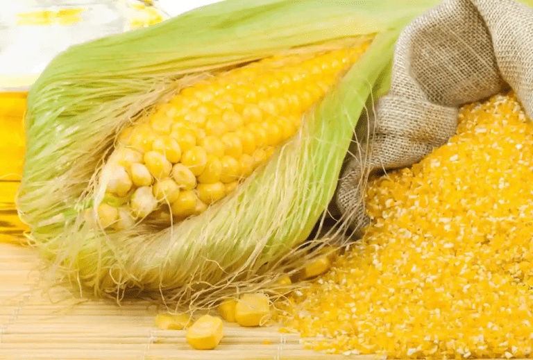 Corn Gluten Meal: Your Natural Fertilizer and Herbicide Guide