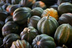 Assessing The Exterior Appearance Of Acorn Squash