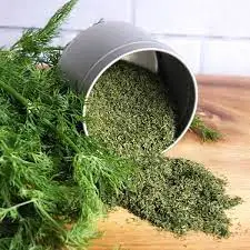 Drying Dill Leaves for Long-Term Storage