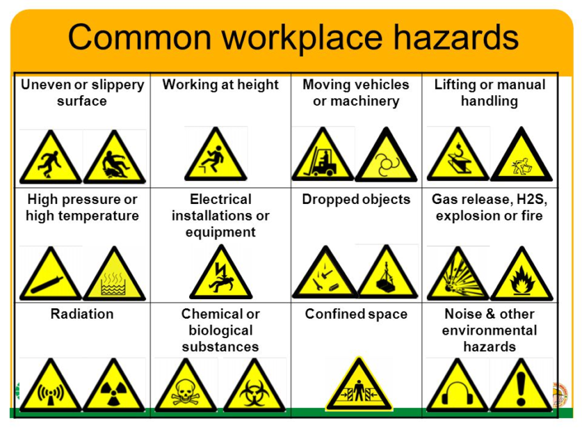 Common Garden Hazards and the Need for Safety Measures
