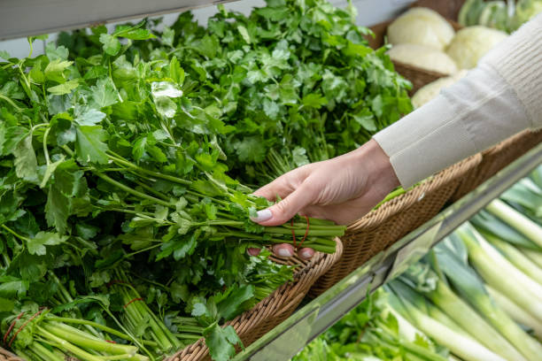 Understanding the Different Types of Parsley for Optimal Freshness