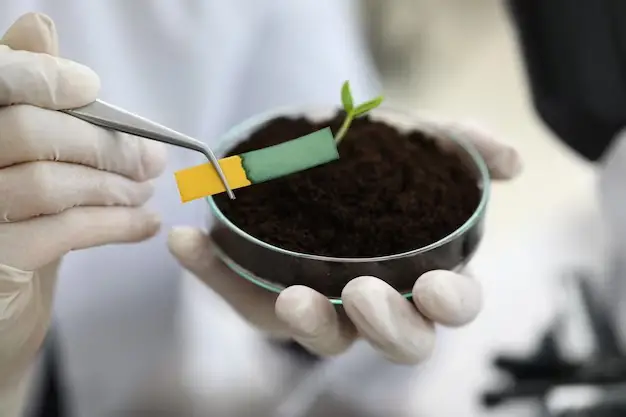 Examining the Impact of Soil pH on Plant Nutrient Uptake.