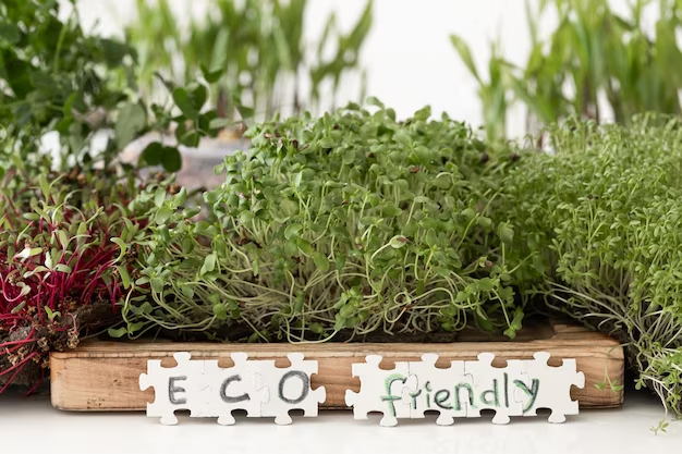 Choosing the Right Location for Your Herb Garden