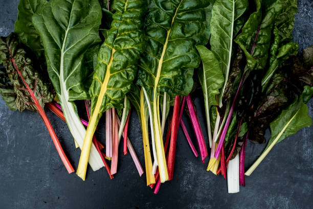 Growing Swiss Chard: A Beginners guide for Leafy Greens and Colorful Stems