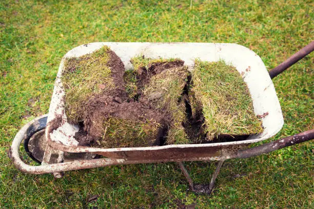 The Impact of Horse Manure on Soil Health