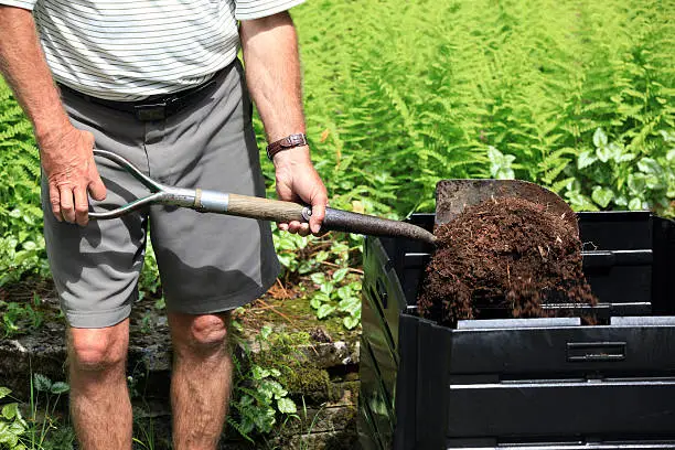 Tips for Incorporating Horse Manure into Organic Gardening