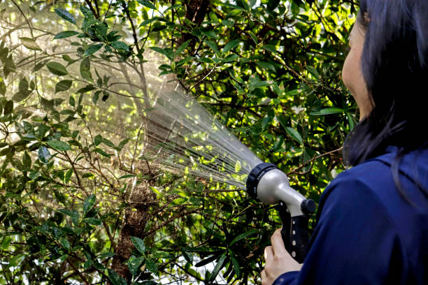 The Science behind BT Spray: How it Works as an Organic Pesticide