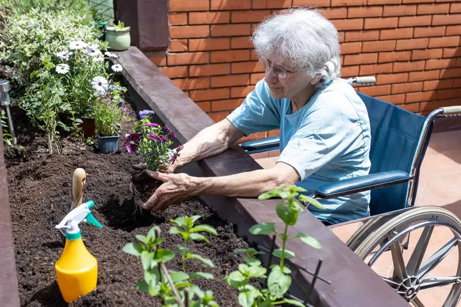 Elderly Gardening: Adapting to Changing Abilities