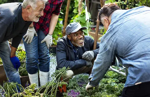 Nurturing Social Connections through Gardening Clubs and Events