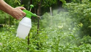 Spinosad Spray: A Natural Pest Control Solution
