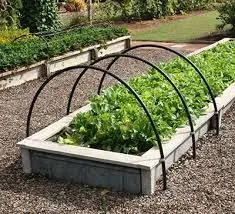 Understanding the Benefits of Organic Raised Bed Soil