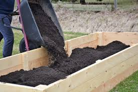 Organic Raised Bed Soil: A Foundation for Success