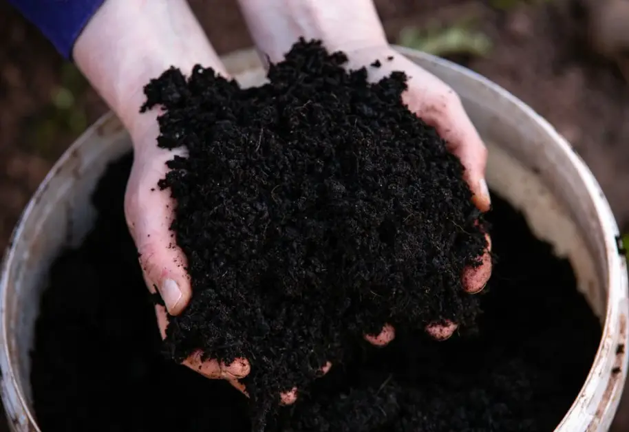Using Compost to Improve Soil Structure and Water Retention.