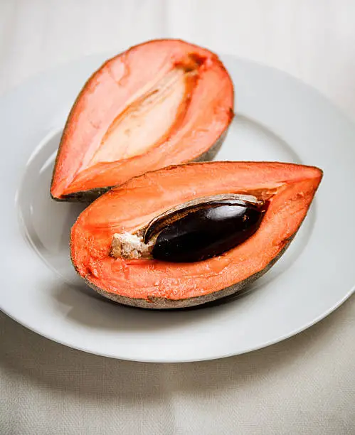 Overview of Mamey Sapote