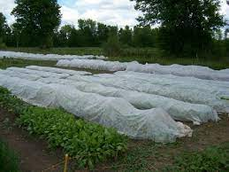 Benefits of Using Floating Row Covers.