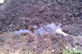 Signs of Poor Drainage in Silty Soil