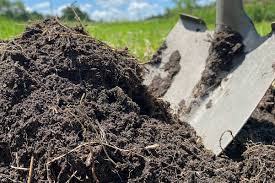Organic Amendments for Silty Soil