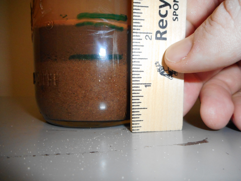 Testing Soil pH Levels in Silt