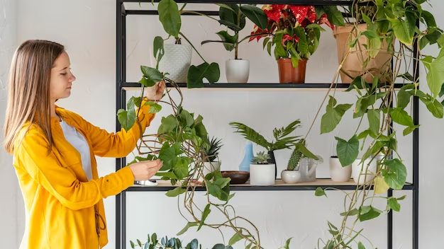 How to Choose the Right Plants for Vertical Gardens in Small Spaces
