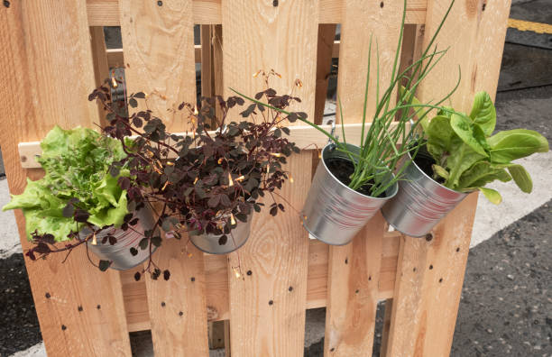 4 Ways to Grow Vertical Gardens in Small Spaces: ultimate Reference