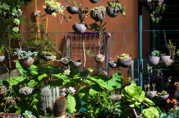 Preventing Pests and Diseases in Vertical Gardens