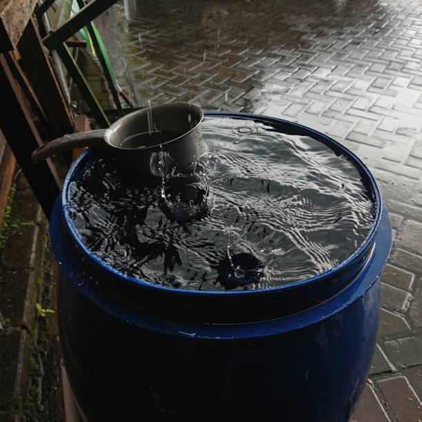 Collecting rainwater