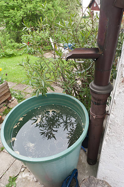 DIY Rainwater Collection System Installation Guide
