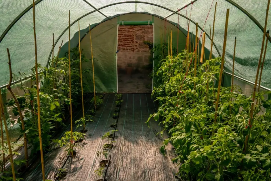 types of Materials Needed for Building a Raised Bed Hoop House