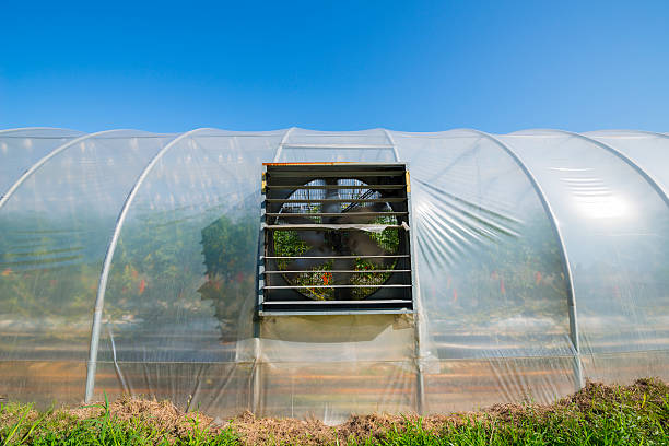 Utilizing Natural Sunlight in Your Raised Bed Hoop House
