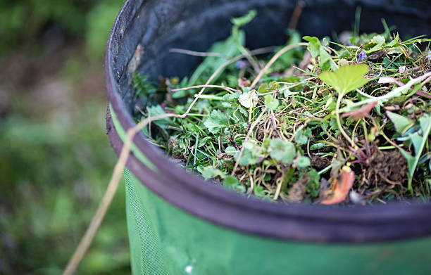 Tips for successful Bokashi composting