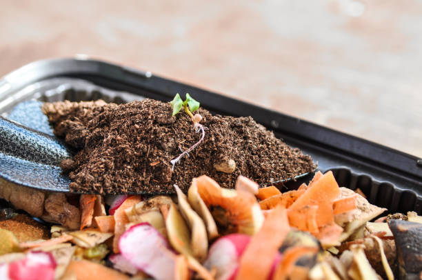 Difference between Bokashi composting and traditional composting