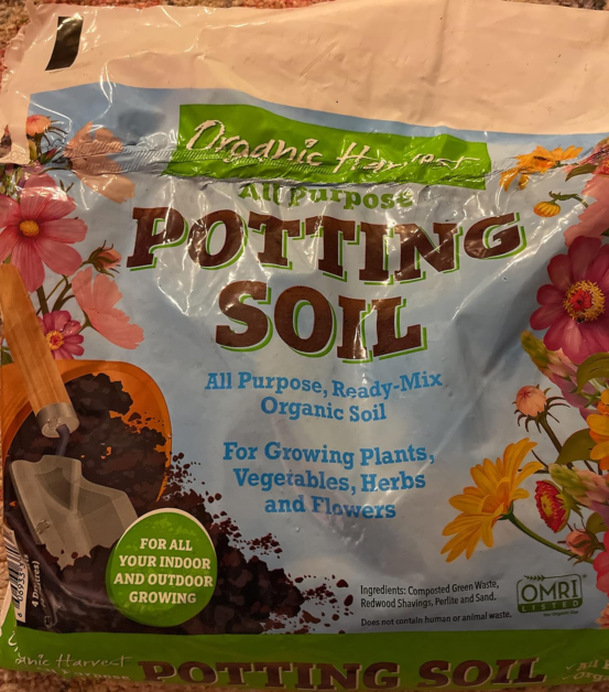 Soil for Raspberry Planting