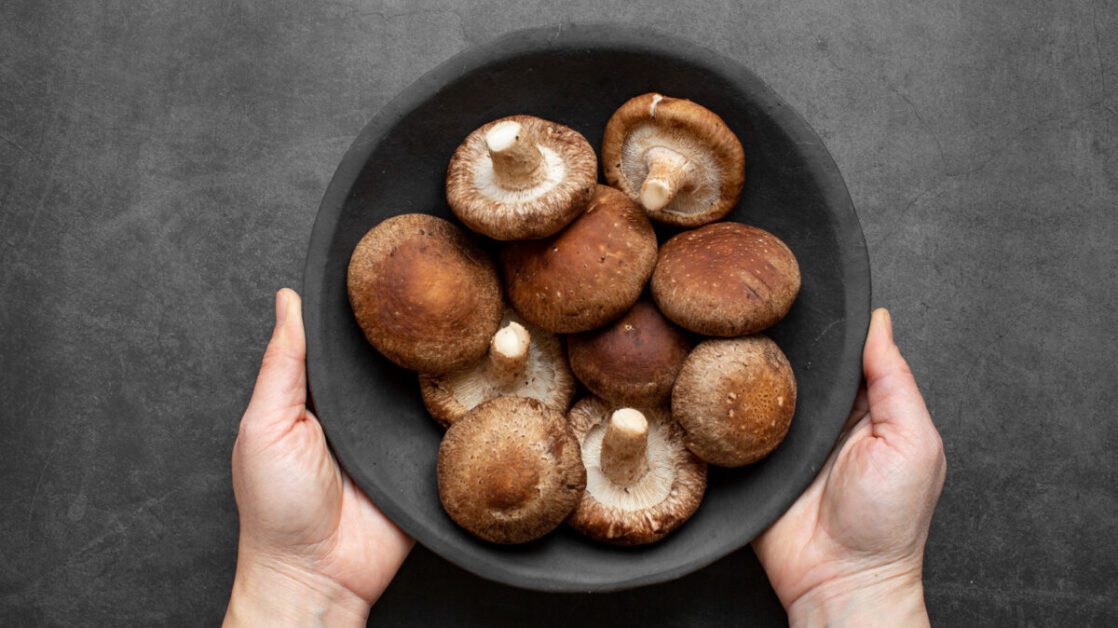 Exploring Culinary Uses and Nutritional Benefits of Shiitake Mushrooms