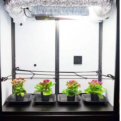 How to Build a DIY Stealth Grow Box: A Step-by-Step Guide to Creating a Secret and Secure Space for Your Plants