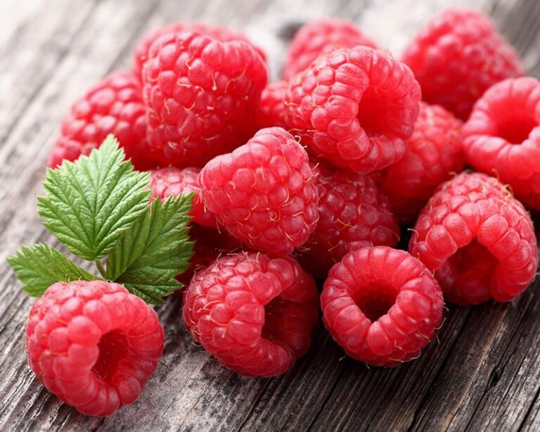 Raspberry Raised Bed Tips: Getting Things Growing