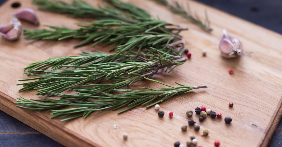 Harvesting Rosemary Leaves for Culinary Use