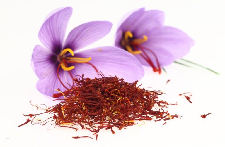 Growing Saffron: The World’s Most Expensive Spice