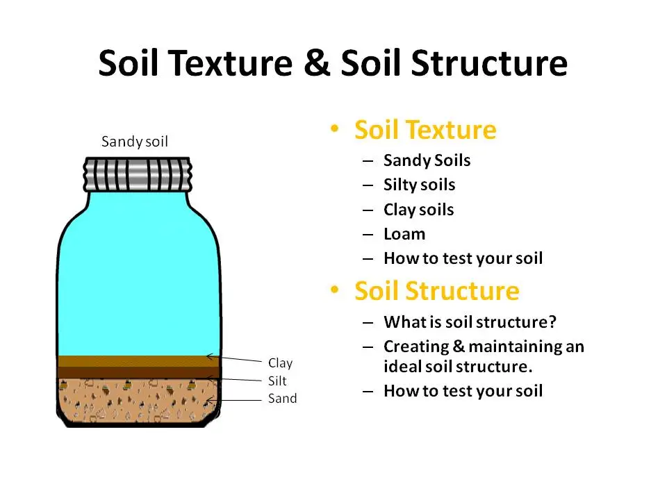 Examining the Texture and Structure of Potting Soil